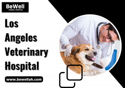 Best Care for Your Furry Friends: Los Angeles Veterinary Hospital