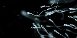 The Top Male Infertility Doctor in Delhi is A Respected Knowledgeable Urologist