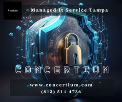 Effortless IT Management in Tampa