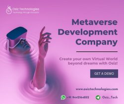 Unleash the Power of the Metaverse with Osiz Technologies