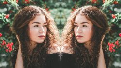 Mirror Image: Free Online Tool for Image Reversal