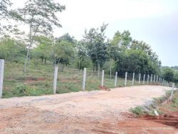 Find Elite- Farm Plots Near Bangalore: Vasudha Kalpataru