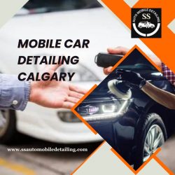 Mobile Car Detailing Calgary
