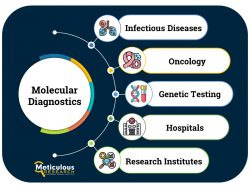 South East Asia Molecular Diagnostics Market to be Worth $891.87 Million by 2031