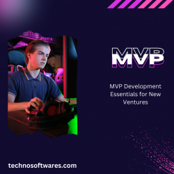 MVP Development Essentials for New Ventures