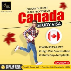 Top Canada Study Visa Consultants In Chandigarh