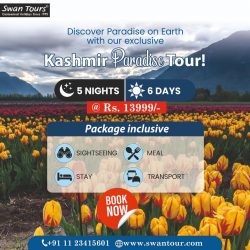 Discover Paradise on Earth with Our Kashmir Tour Packages