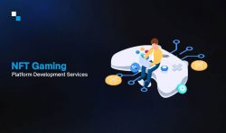 Custom NFT Gaming Platform Development Solutions