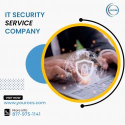 IT security service company