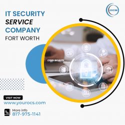IT security service company Fort Worth