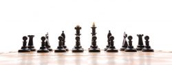 Checkmate Distractions – Learn Chess with Delighted Champs