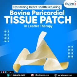 Optimizing Heart Health Exploring Bovine Pericardial Tissue Patch in Leaflet Therapy