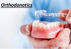 Orthodontics | Treatments, Candidacy & Help Finding an Orthodontist