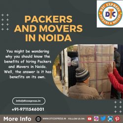 Packers And Movers In Noida – Best Movers Packers Noida