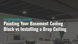 Painting Your Basement Ceiling Black vs Installing a Drop Ceiling