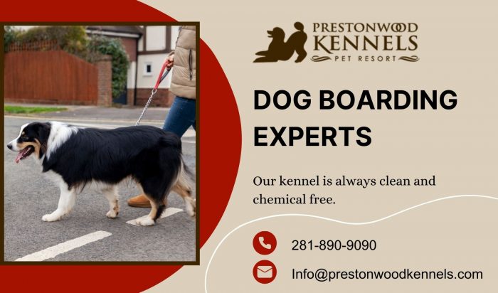 Pampered Pet Retreat Services