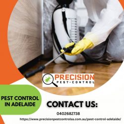 Pest Control in Adelaide: Effective Solutions for a Pest-Free Environment
