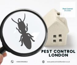 Pest Control London: Say Goodbye to Pests with Pest Control 24 London