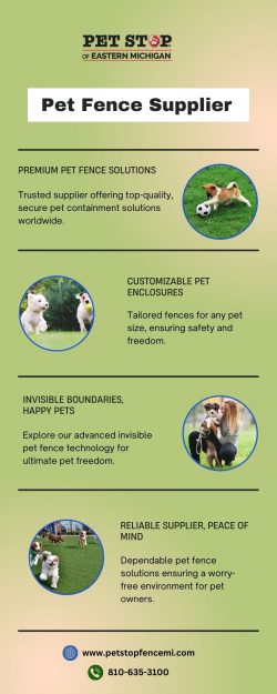 Find the Best Pet Fence Supplier for Your Furry Friend’s Safety