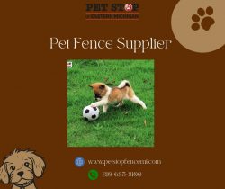 Secure Your Pets with the Leading Pet Fence Supplier in the Industry