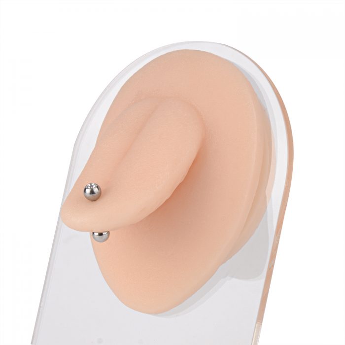 Ultrassist Tongue Piercing Model with Display Stand
