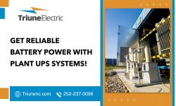 Power Up Your Life Sustainably with Our Plant Ups Systems!