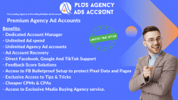 Unlocking the Power of Google Agency Ad Accounts for Plus Agency Ad