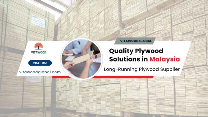 Premium Plywood Solutions in Malaysia | VitaWood Global