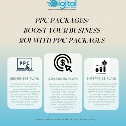 Boost Your Business ROI with PPC Packages