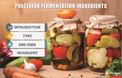Precision fermentation Ingredient growth will required