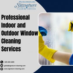 Professional Indoor and Outdoor Window Cleaning Services