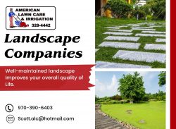 Professional Landscape Design and Maintenance