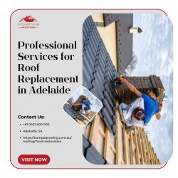 Professional Services for Roof Replacement in Addelaide