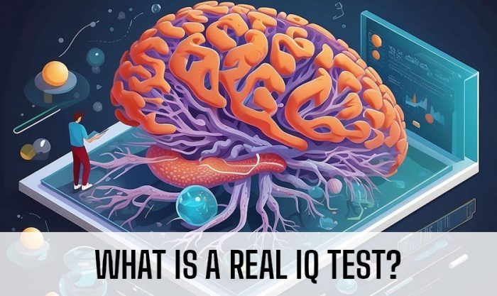 Real IQ Test Guidebook