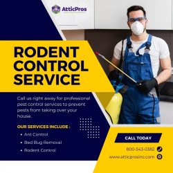 Expert Rodent Control Services: Industry-Leading Solutions for Pest-Free Living