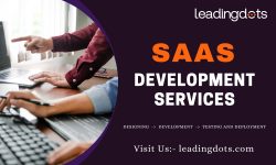 Elevate Your Business with Leadingdots SAAS Development Services
