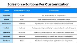 Salesforce Editions for Customization