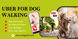 Uber for Dog Walking App Startup Guide for Success