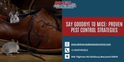 Say Goodbye to Mice: Proven Pest Control Strategies