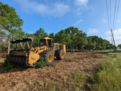 Land Clearing Service in Orlando, FL