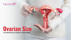 OVARIAN SIZE AND ITS IMPORTANCE IN FERTILITY TREATMENTS