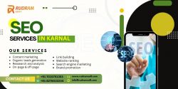 SEO Services in Karnal | Rudramsoft IT Services Company