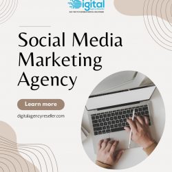 Social Media Marketing Services: Improve Your ROI