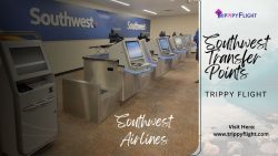 Southwest Transfer Points| Trippy Flight