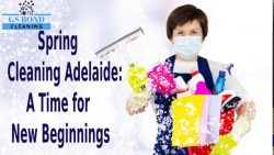 Spring Cleaning Adelaide: A Time for New Beginnings