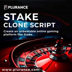Stake Clone Script – Create your Own Crypto Gambling Platform