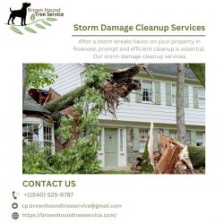storm damage cleanup services