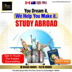 Study Abroad Consultation | UK, USA, Canada, Australia