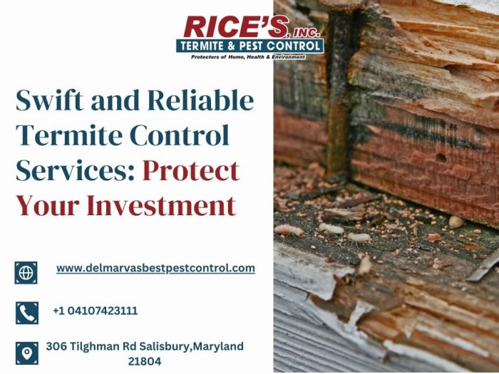 Swift and Reliable Termite Control Services: Protect Your Investment