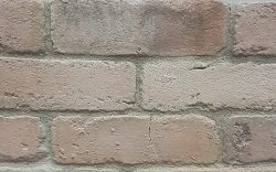 https://gta-ads.com/listing/high-quality-antique-wall-brick-veneer-by-canyon-stone-canada/